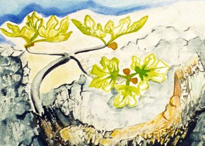 114 Aquarell o.T. (1985) 23x16cm